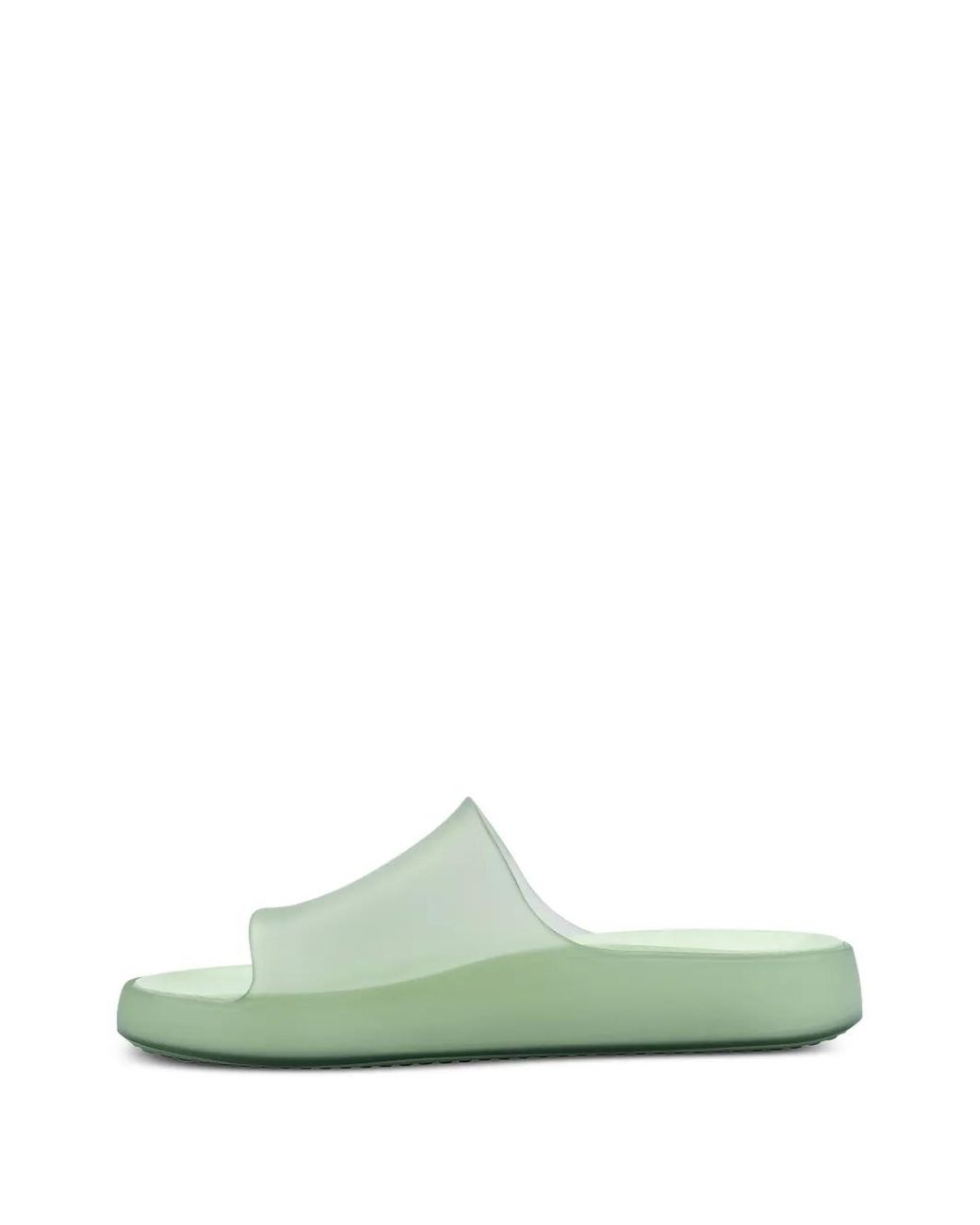 Melissa Green Slides