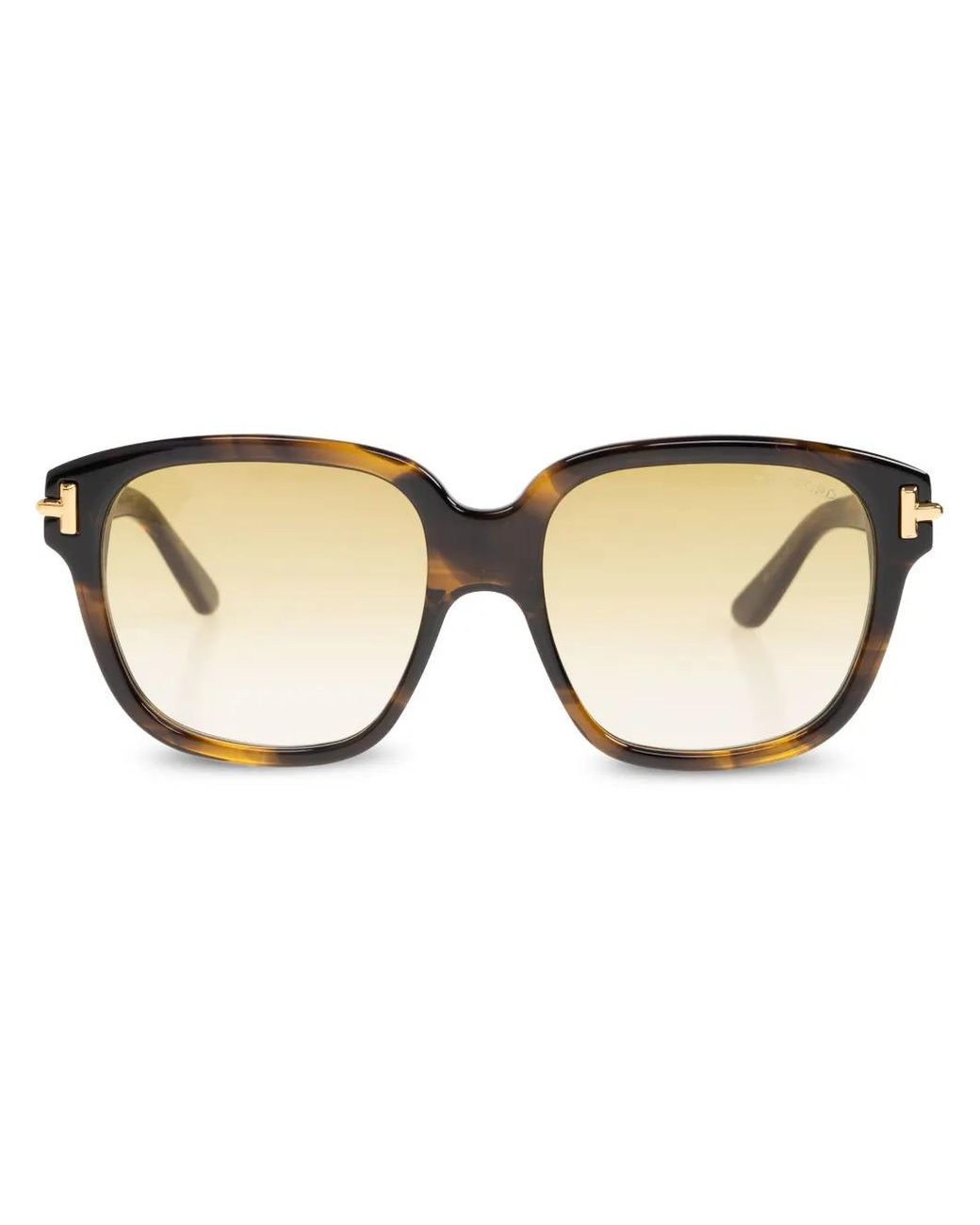 Tom Ford Brown Icon Sunglasses