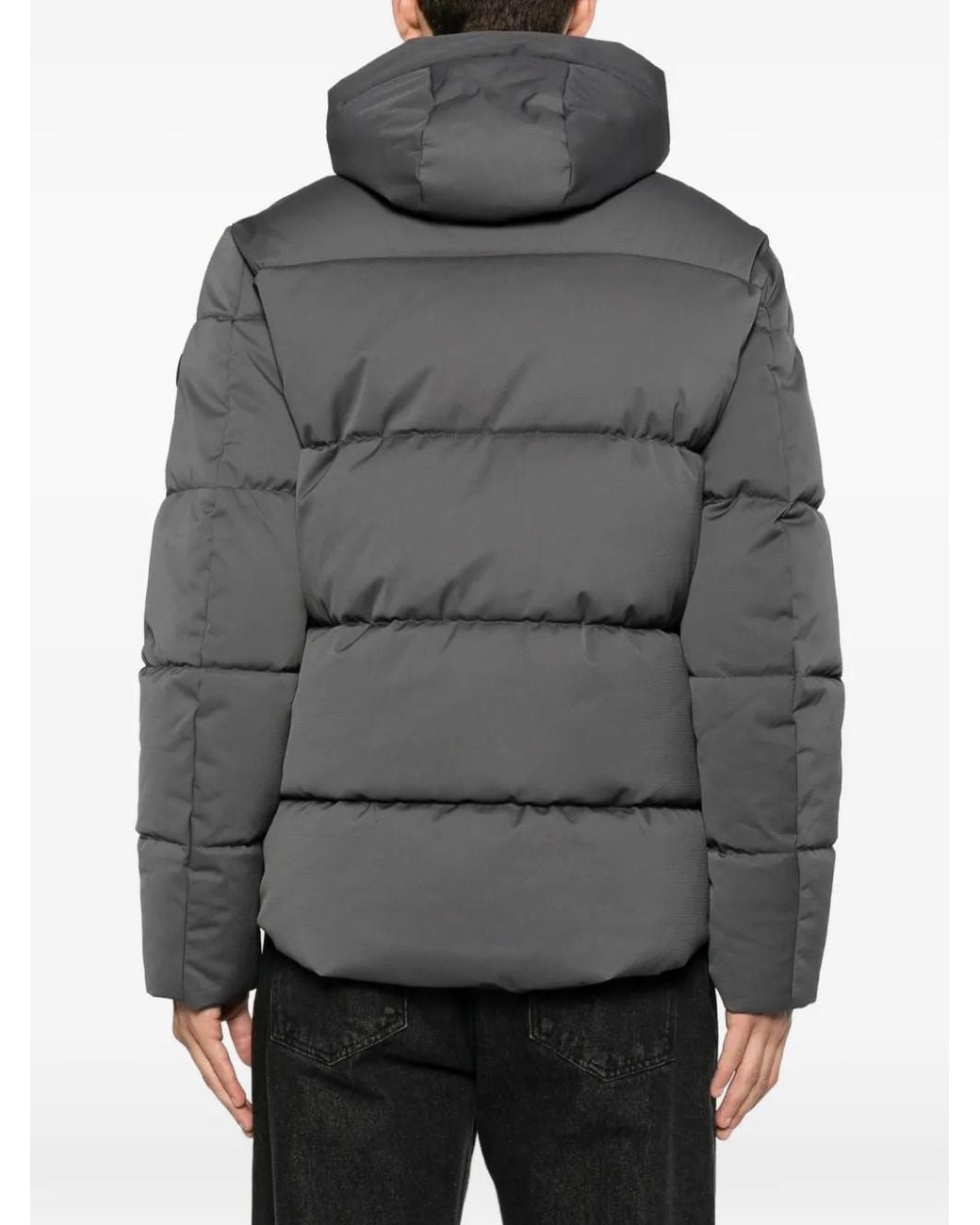 SERGIO MORETTI FIRENZE Gray Logo-Patch Padded Jacket for men