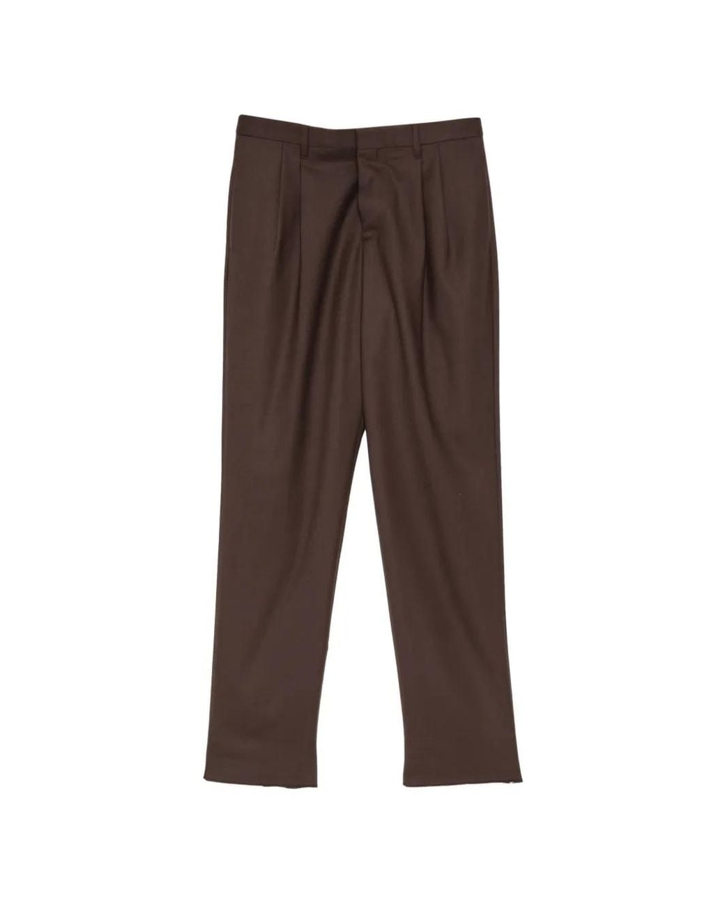 Lardini Brown Pleated Tailored Trousers for men