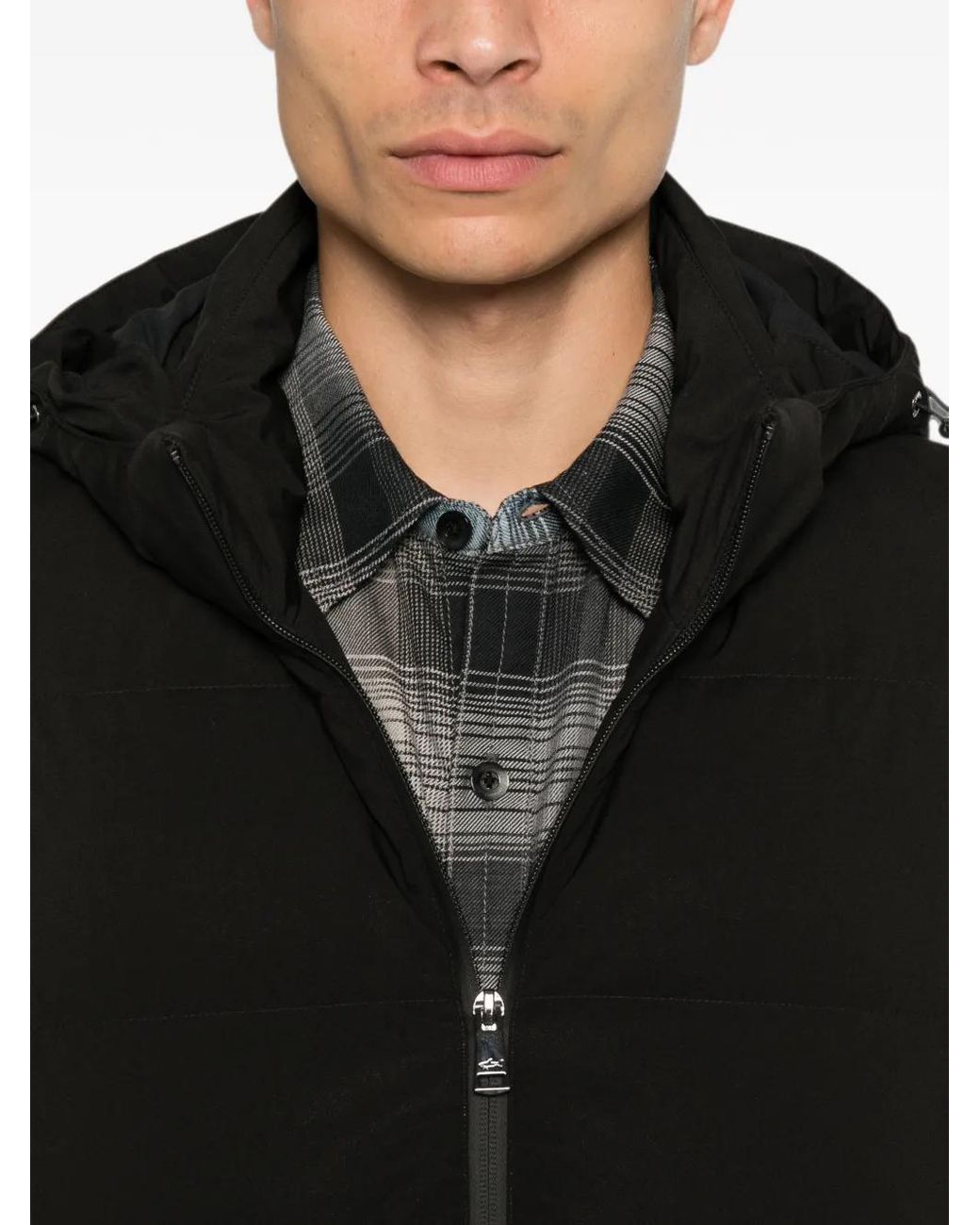 Paul & Shark Black Hooded Padded Jacket for men