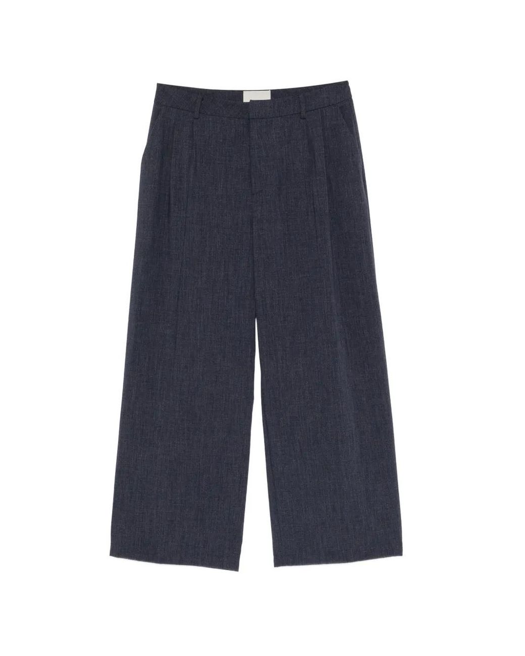 THESTROY Blue Pleated Wide-Leg Trousers
