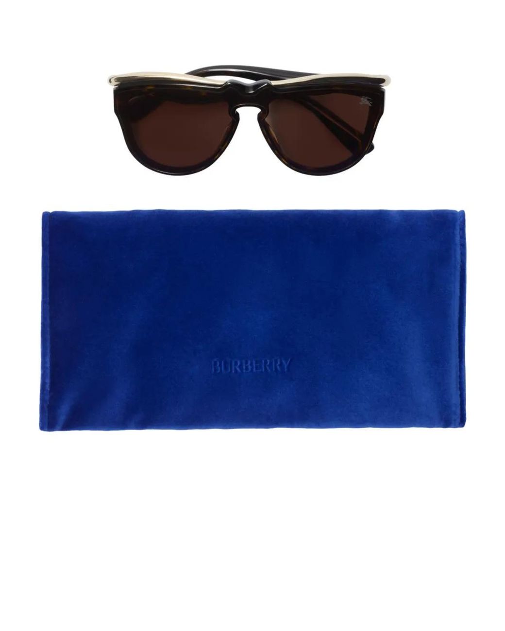 Burberry Brown Classic Brow Sunglasses
