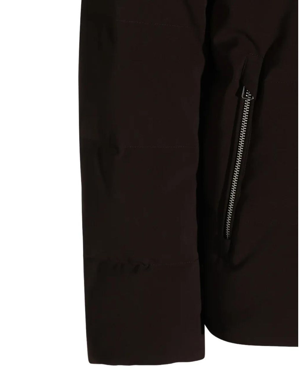 Montecore Brown Hooded Padded Jacket for men