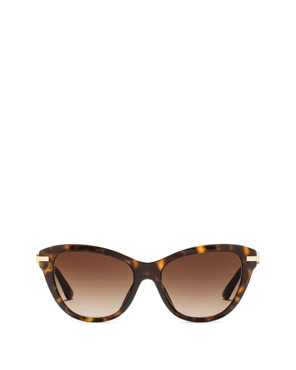 Dolce & Gabbana Brown Dg Glow Sunglasses