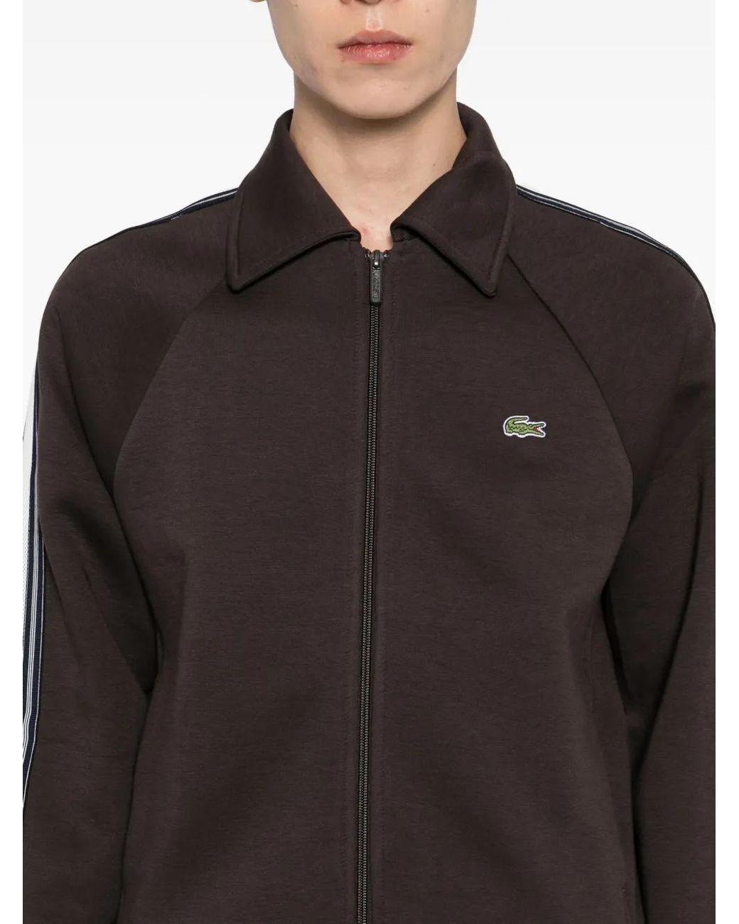 Lacoste Brown Stripe Zip Shirt for men
