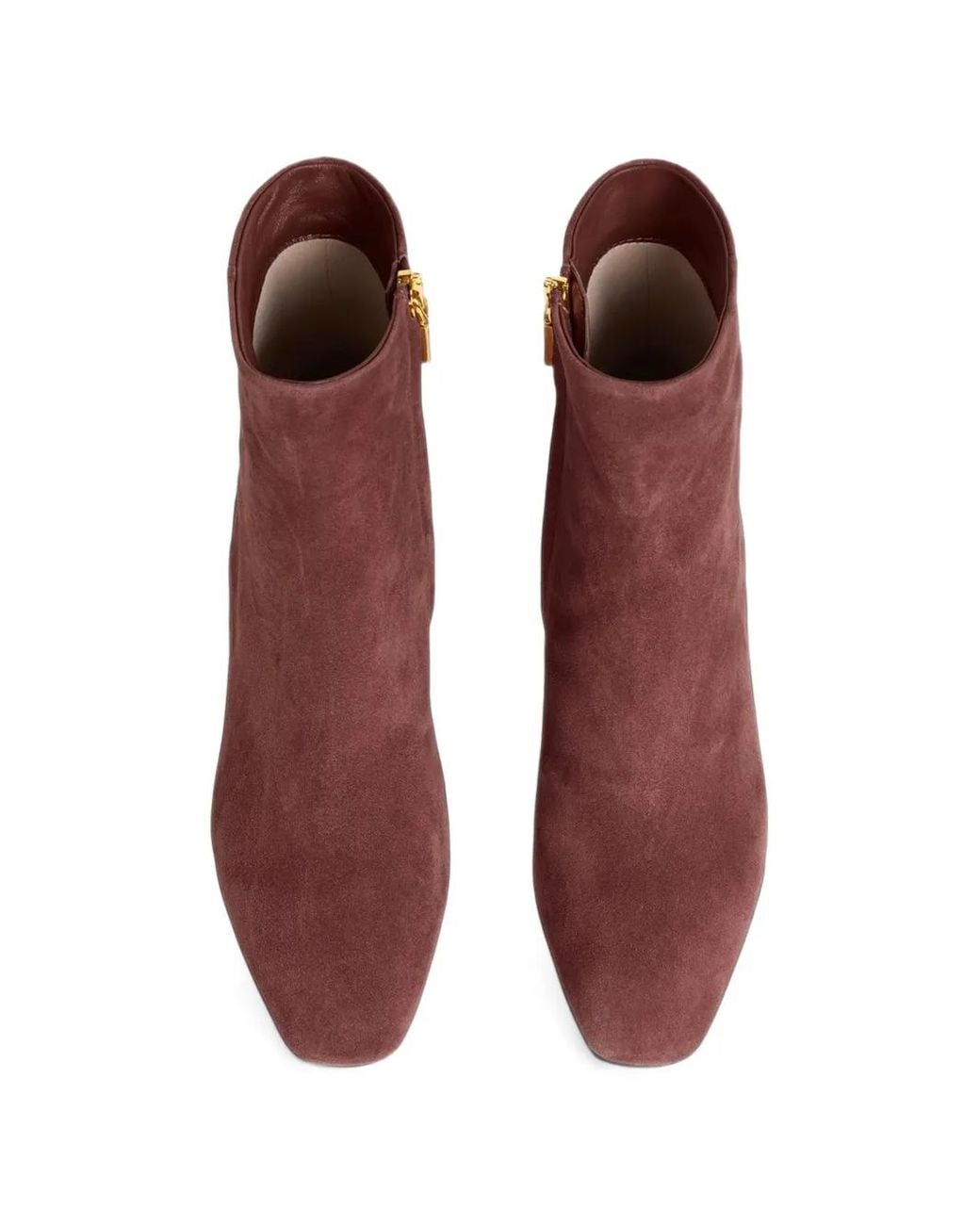 Coccinelle Purple C-Everyday Logo-Plaque Leather Ankle Boots