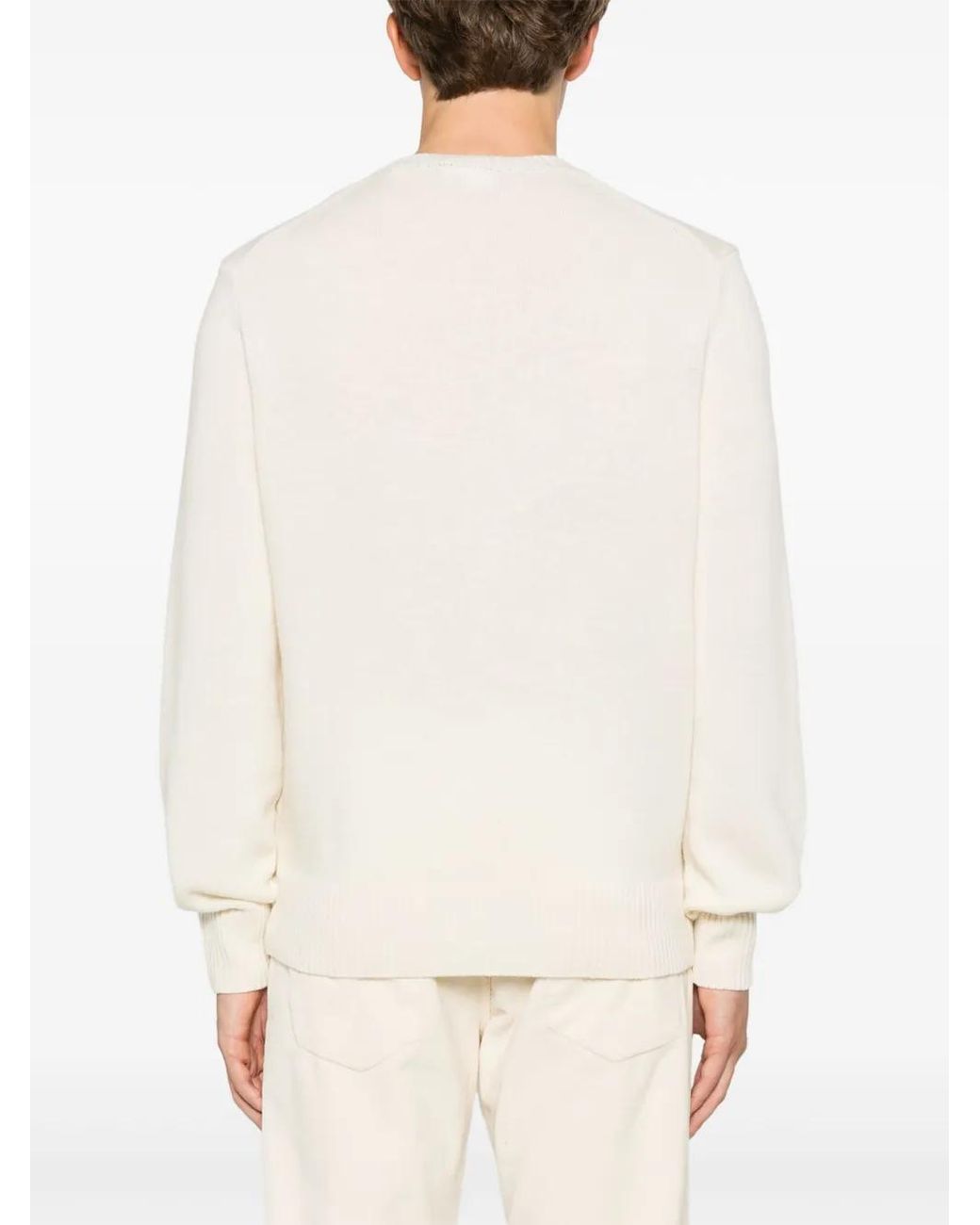 Lacoste Natural Wool Crew-Neck Sweater for men