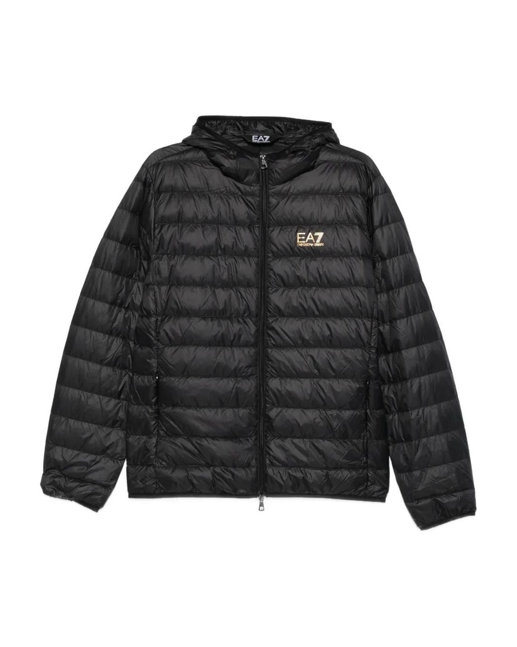 EA7 Gevoerd Jack Met Capuchon in het Black voor heren