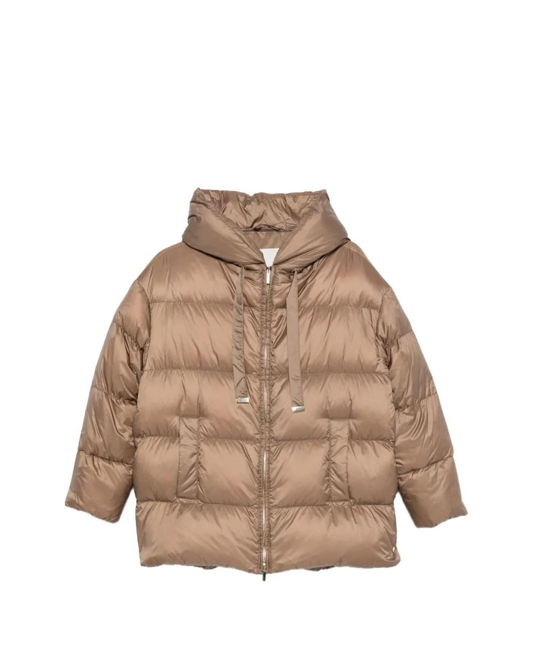 Max Mara Nerine Jack Met Capuchon in het Natural