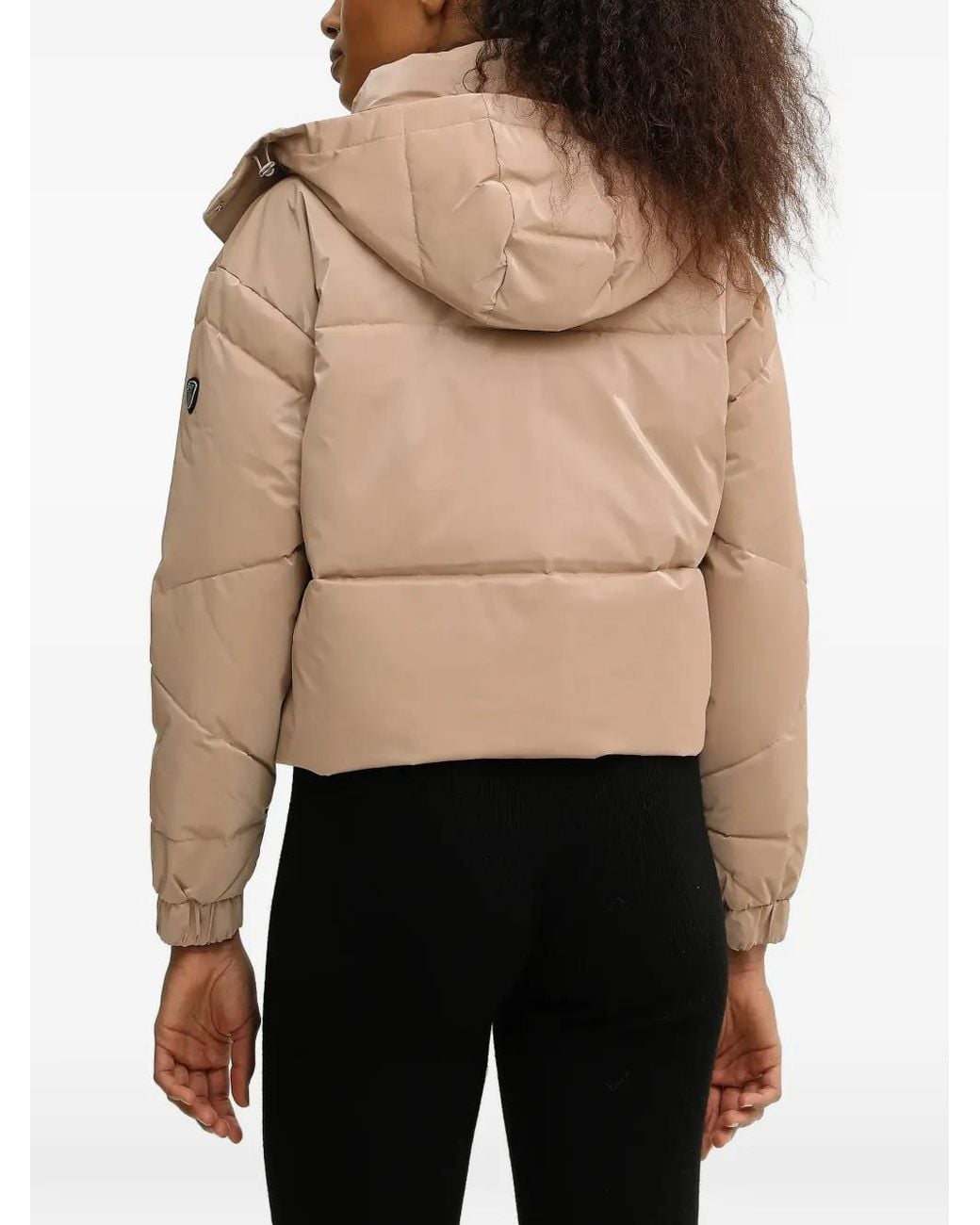 EA7 Black Padded Design Jacket