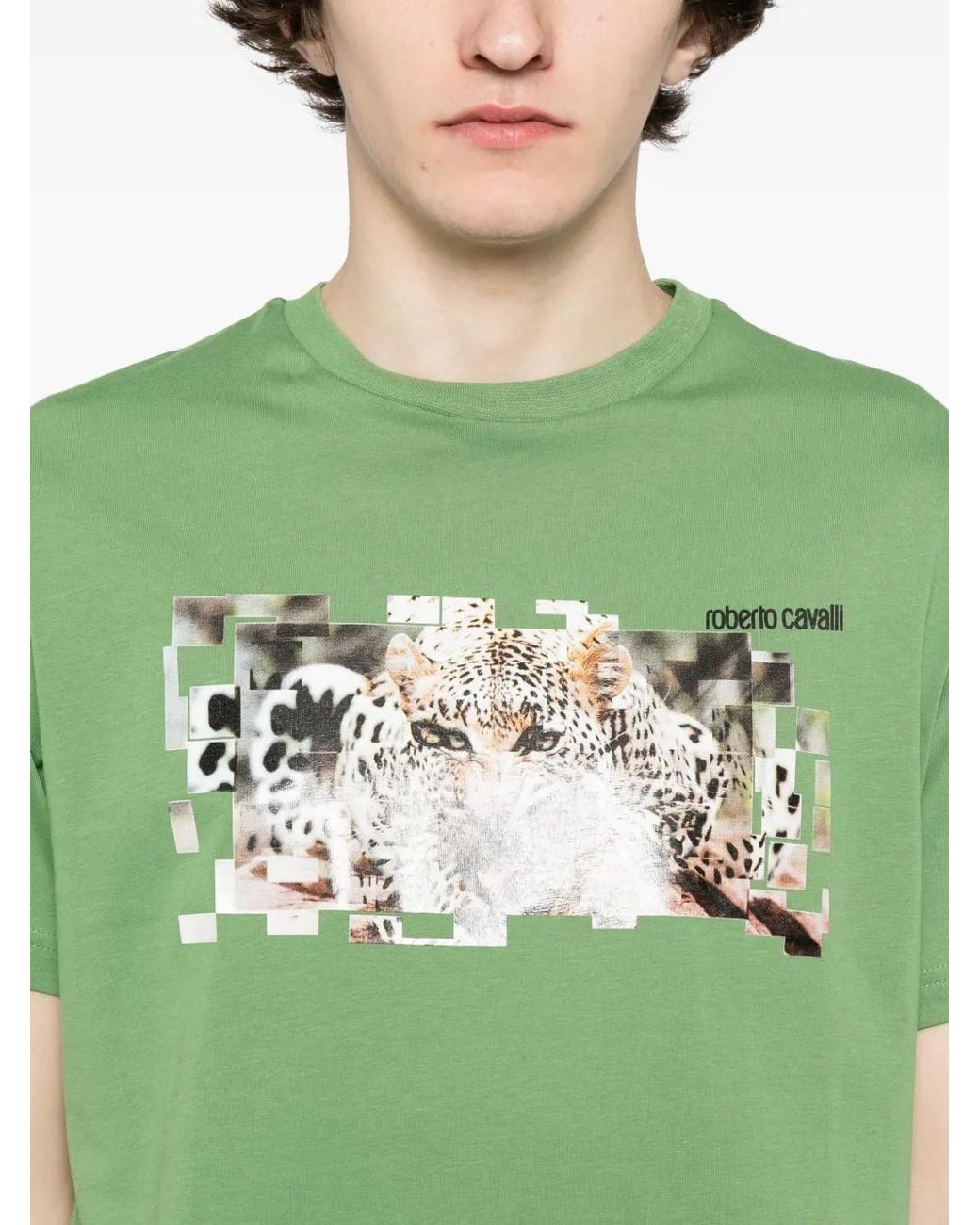 Roberto Cavalli Green Graphic-Print Cotton T-Shirt for men