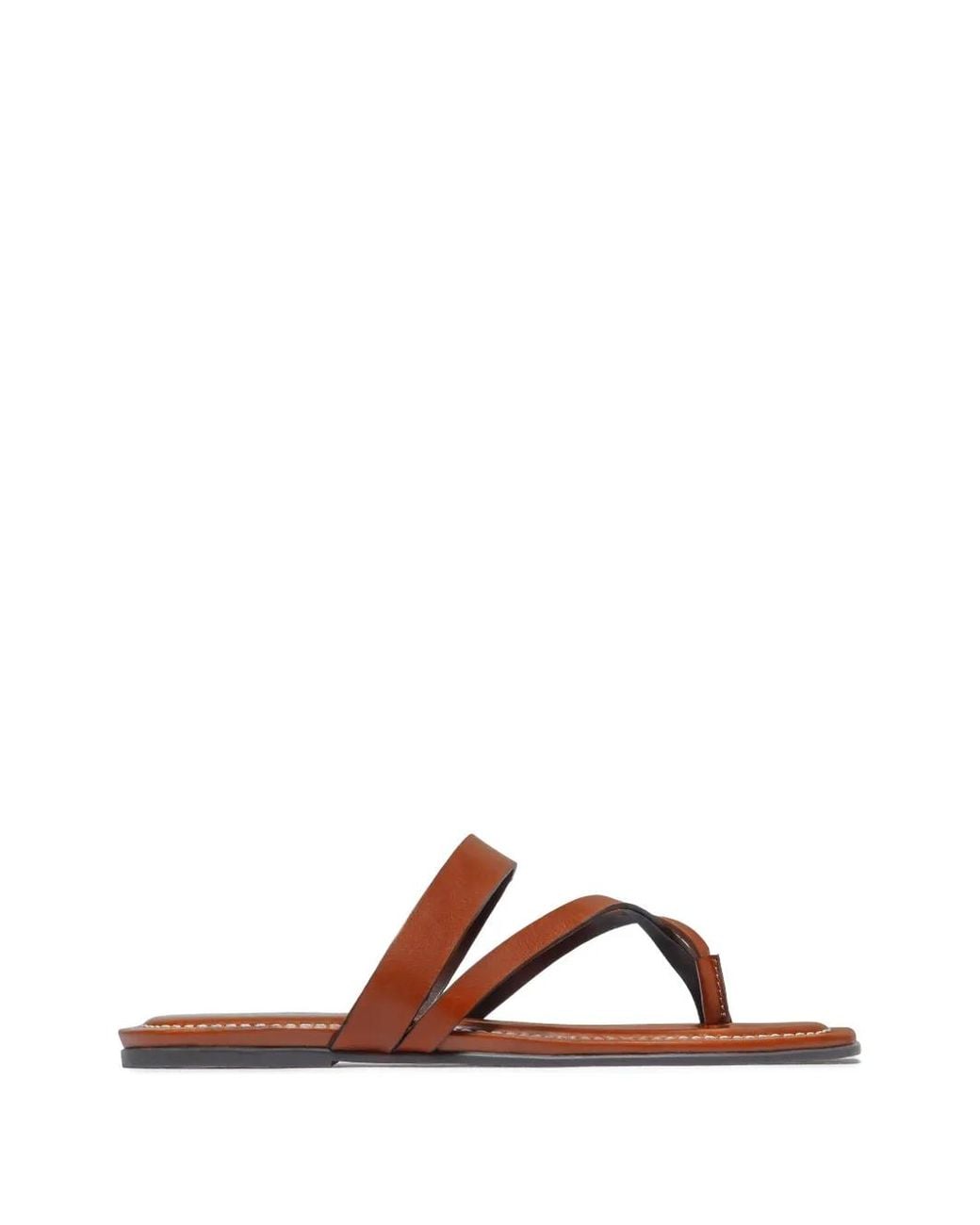 Bernardo Brown Ocana Toe-Ring Thong Flat Sandals