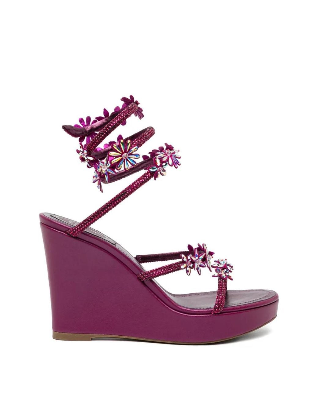 Rene Caovilla Purple Sandales Cassie 105 Mm