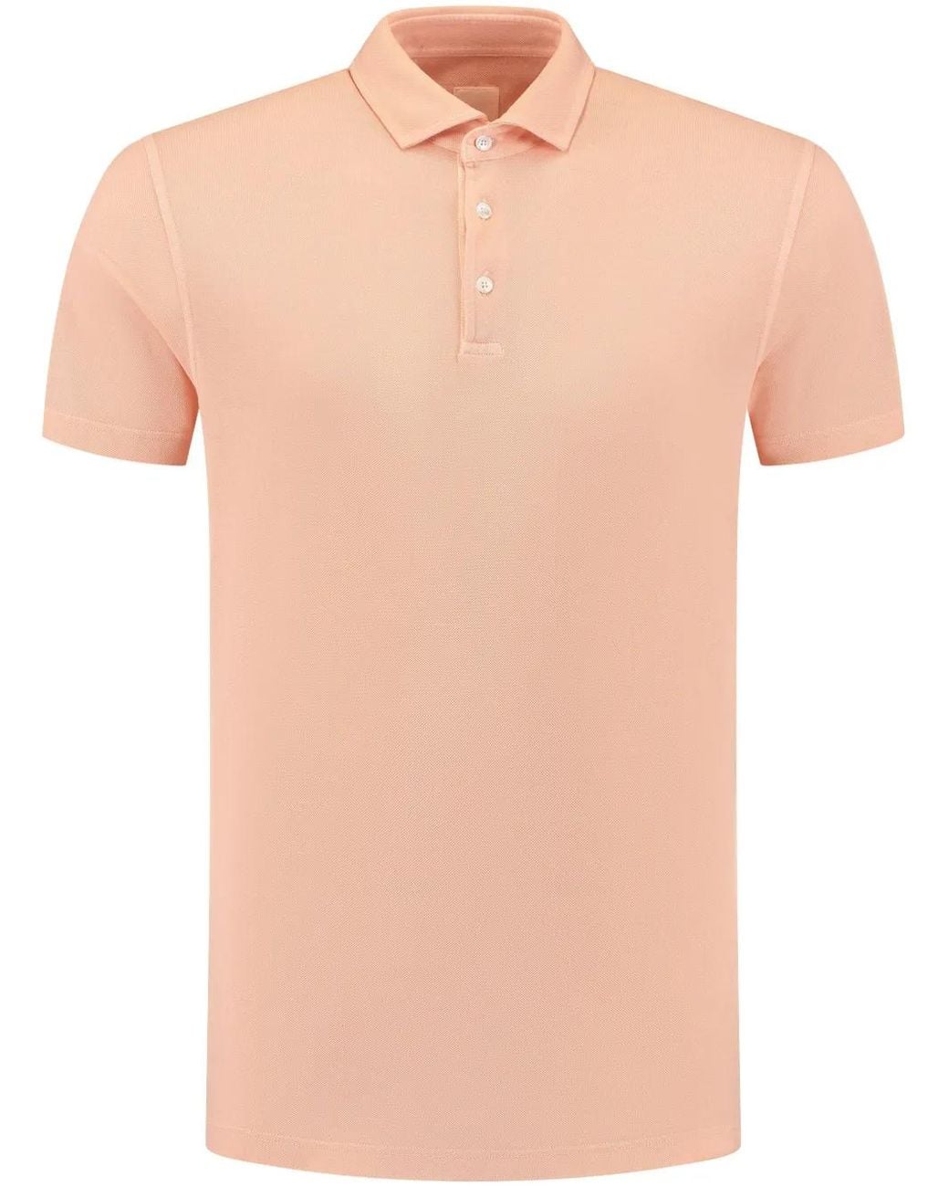 Polo di Fedeli in Pink da Uomo