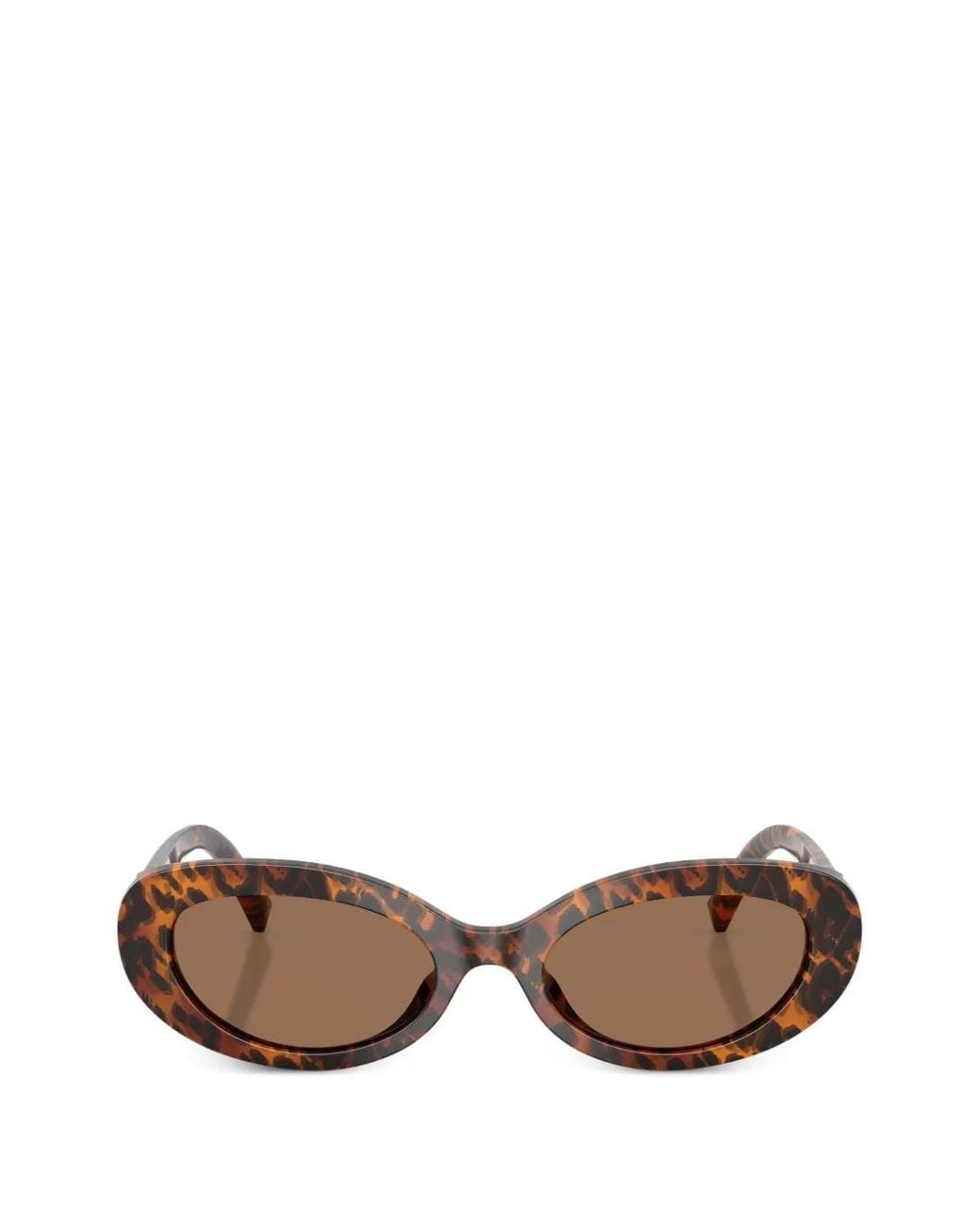 Dolce & Gabbana Brown Oval-Frame Sunglasses