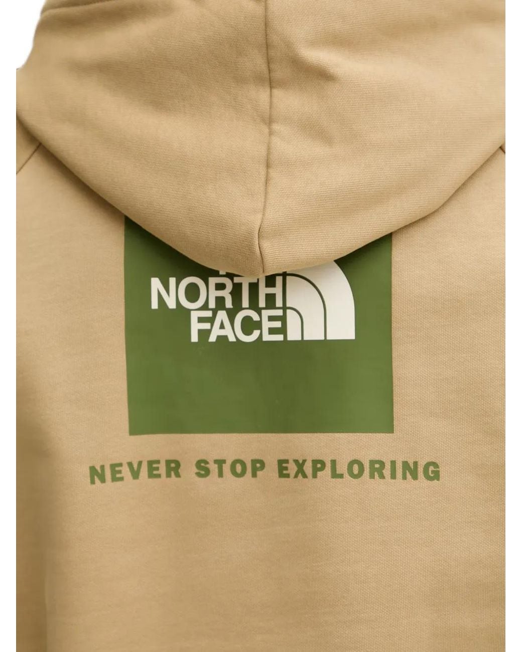 The North Face Natural Raglan Nse Box Hoodie for men