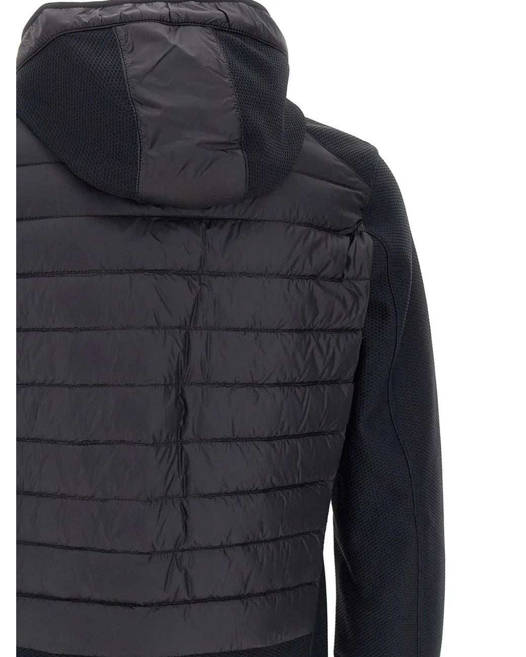 Parajumpers Blue Nolan Padded Jacket for men