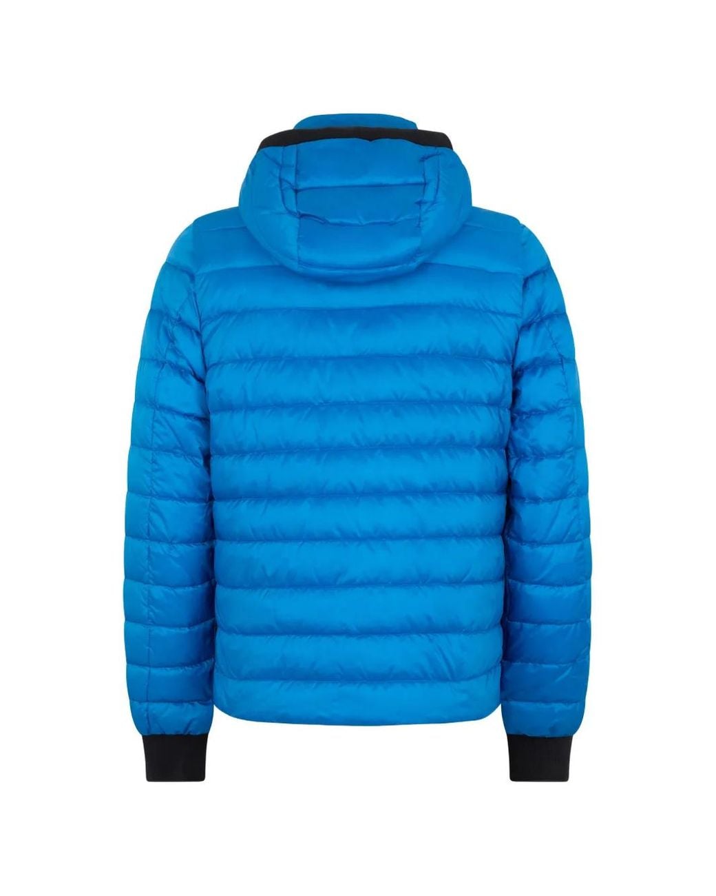 Moorer Blue Hooded Padded Jacket for men