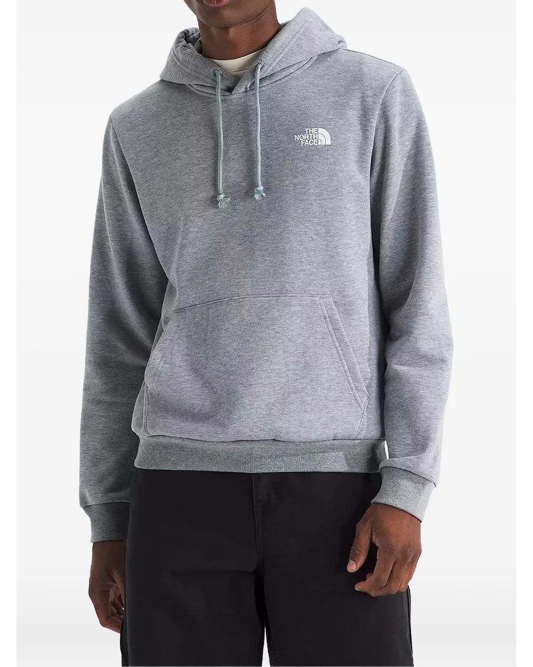 Sudadera Never Stop Exploring Evolution Box Nse Con Capucha The North Face de hombre de color Gray