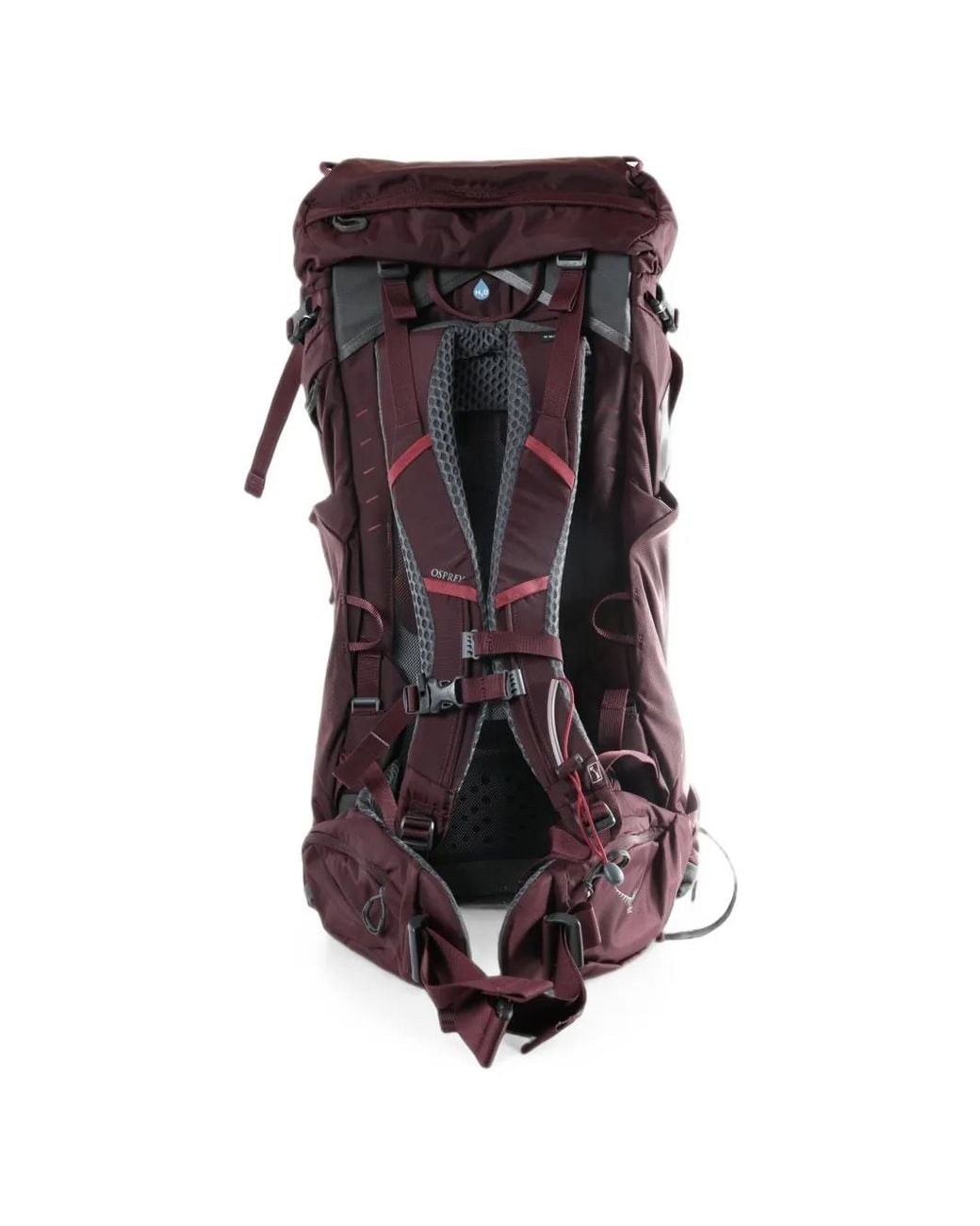 Osprey Purple Kyte 38 Backpack