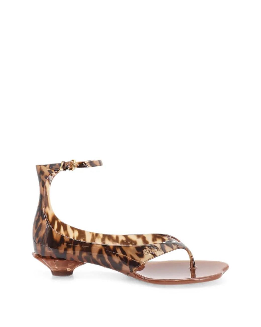 Chloé Brown Sandales Jelly
