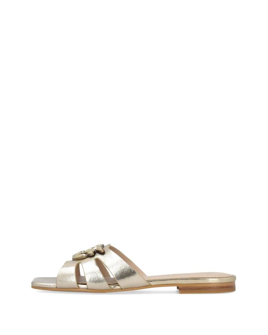 Pinko Multicolor Stylish, Versatile Summer Sandals