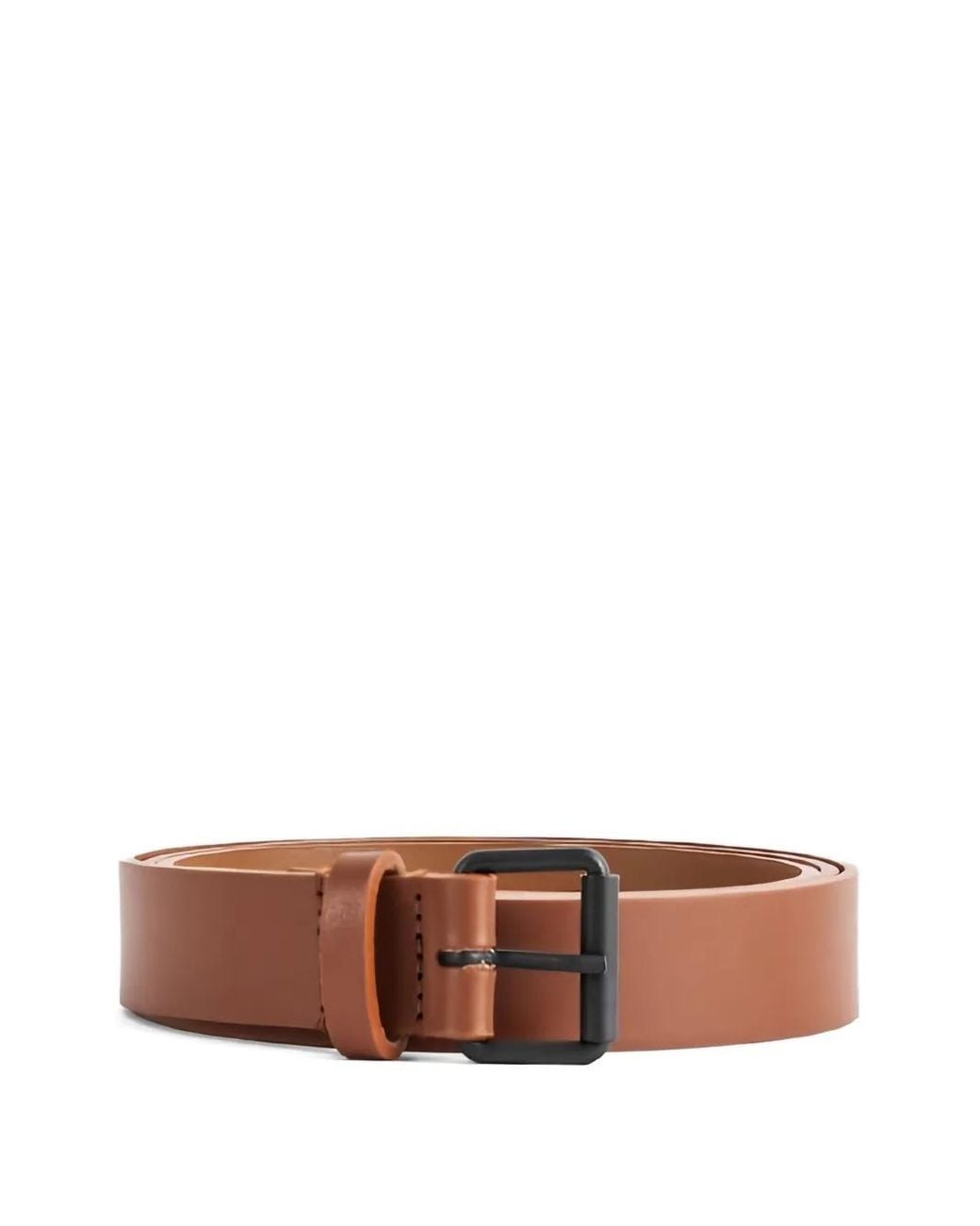 Sofie D'Hoore Brown Square-Buckle Belt