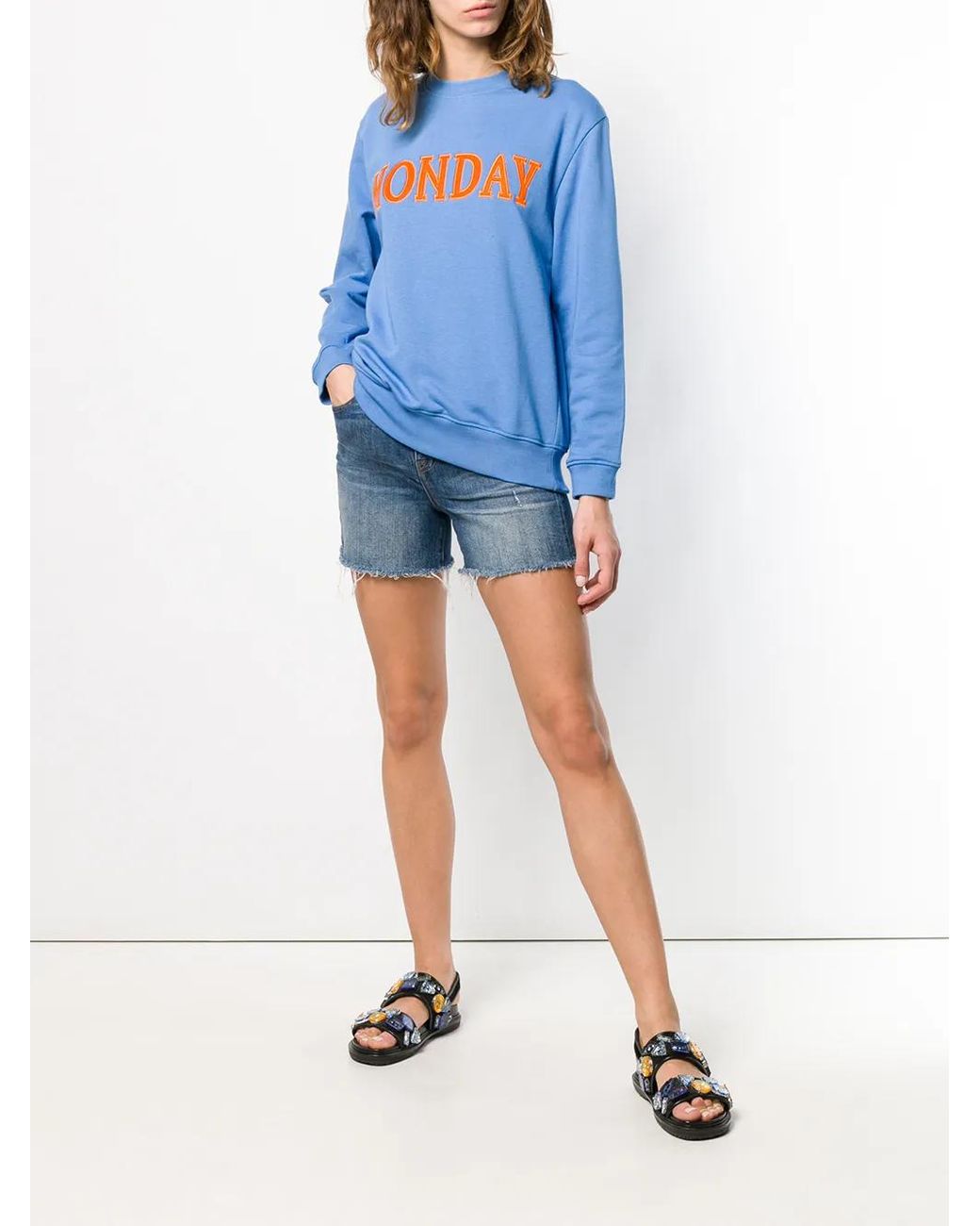Alberta Ferretti Blue Monday Patch Sweatshirt