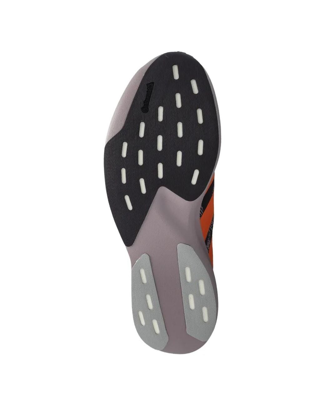Adidas White X Labrum London Adizero Evo Sl Shoes for men