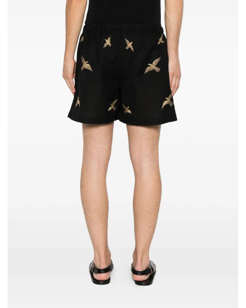 BAZISZT Black Bird-Embroidered Drawstring Shorts for men
