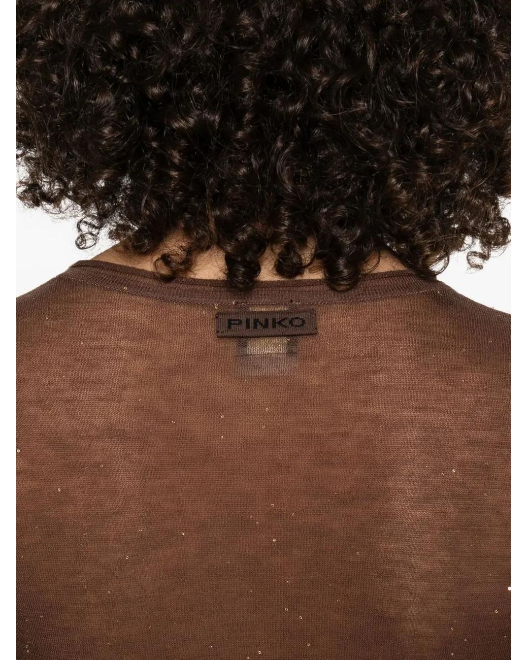 Pinko Brown Round-Neck T-Shirt