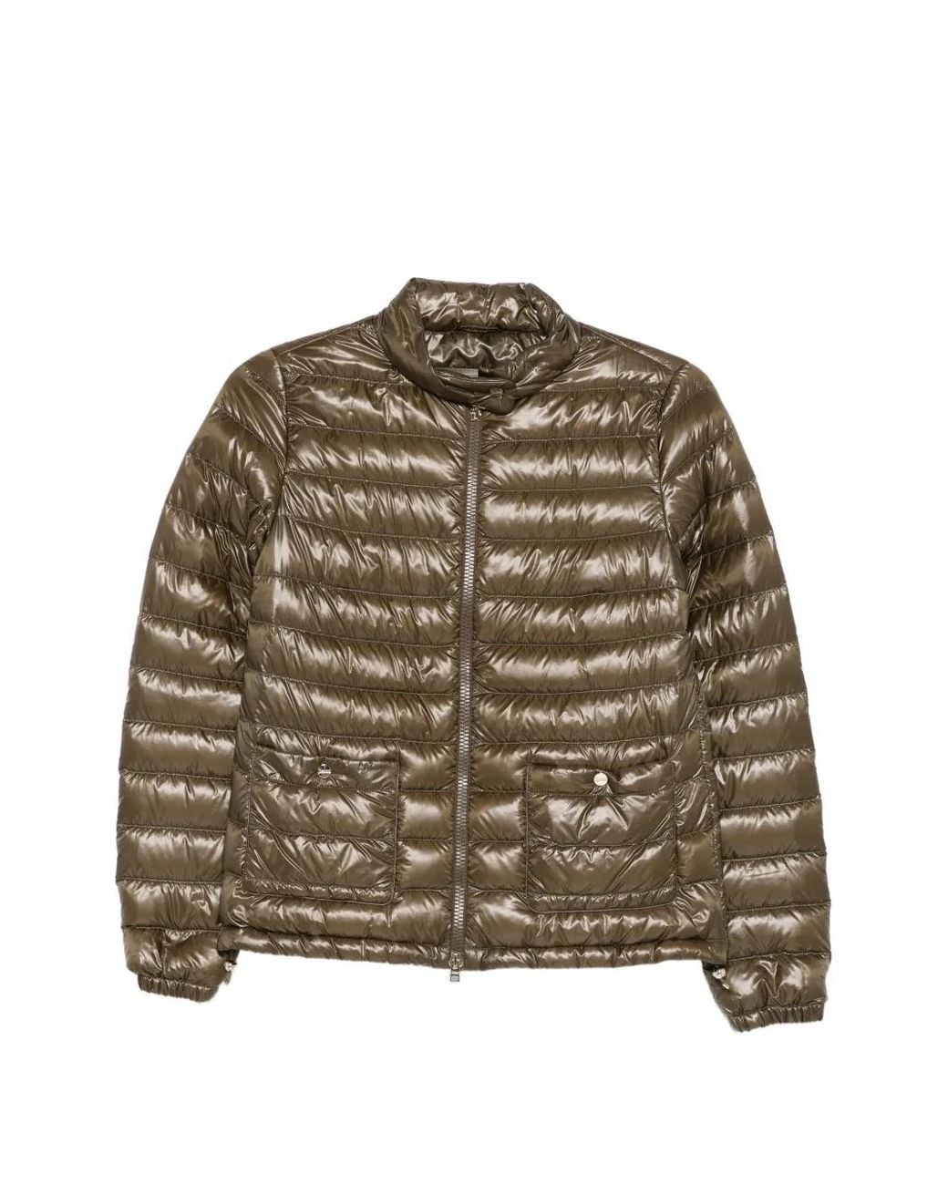 Herno Brown Nylon Short Down Jacket