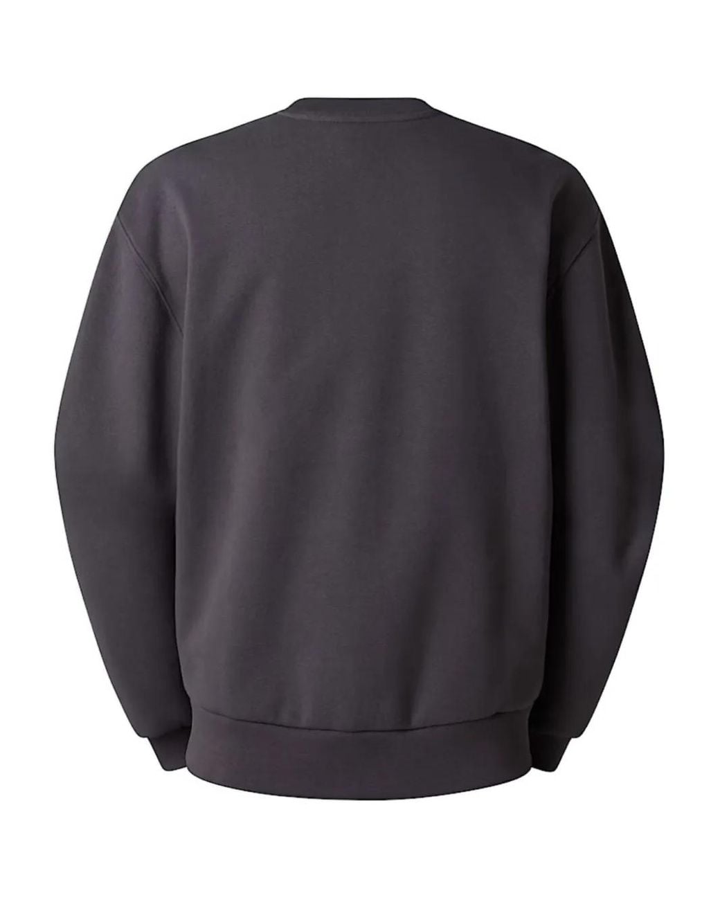 The North Face Blue Box Sweatshirt for men