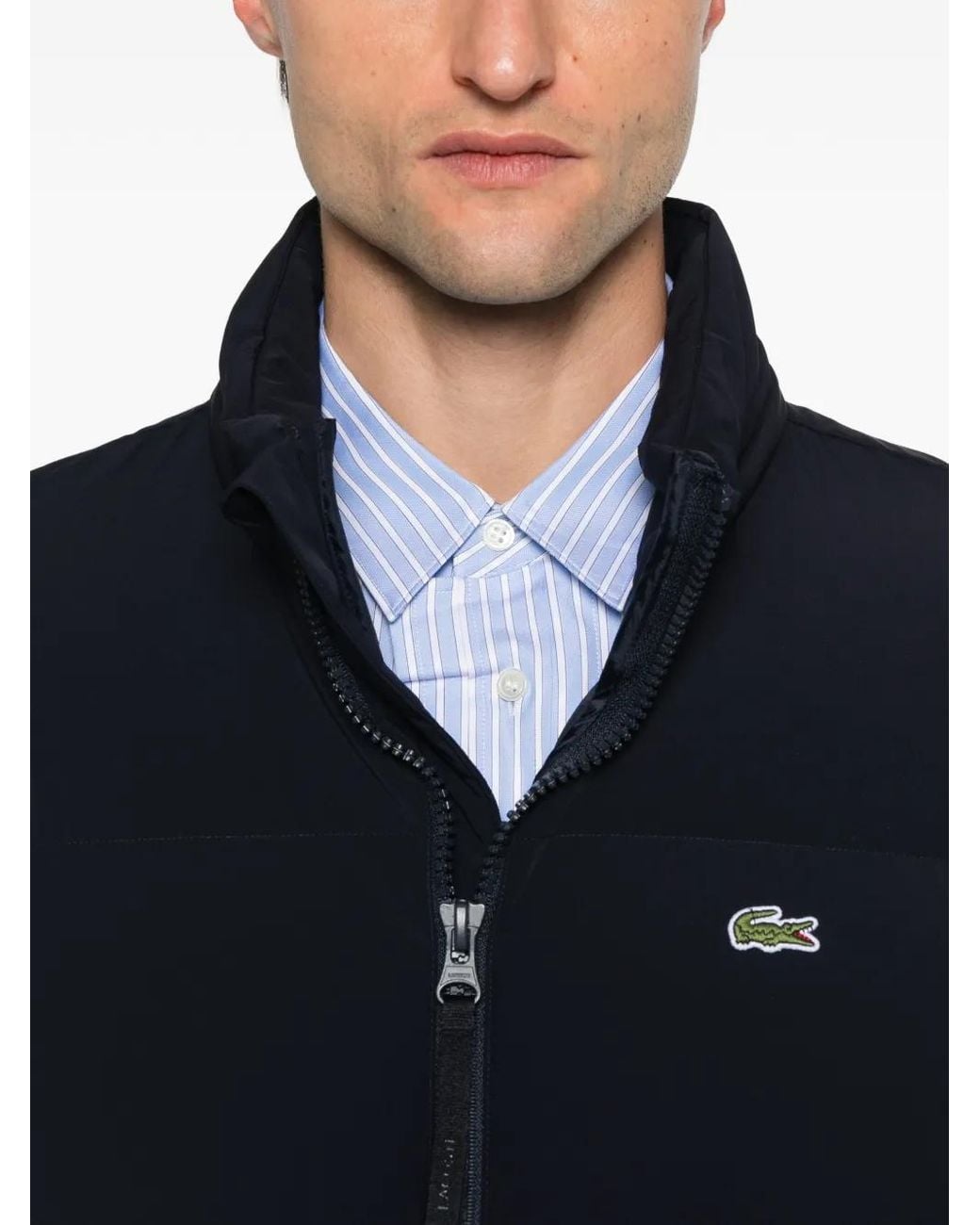 Lacoste Wattierte Jacke Mit Reißverschluss in Blue für Herren