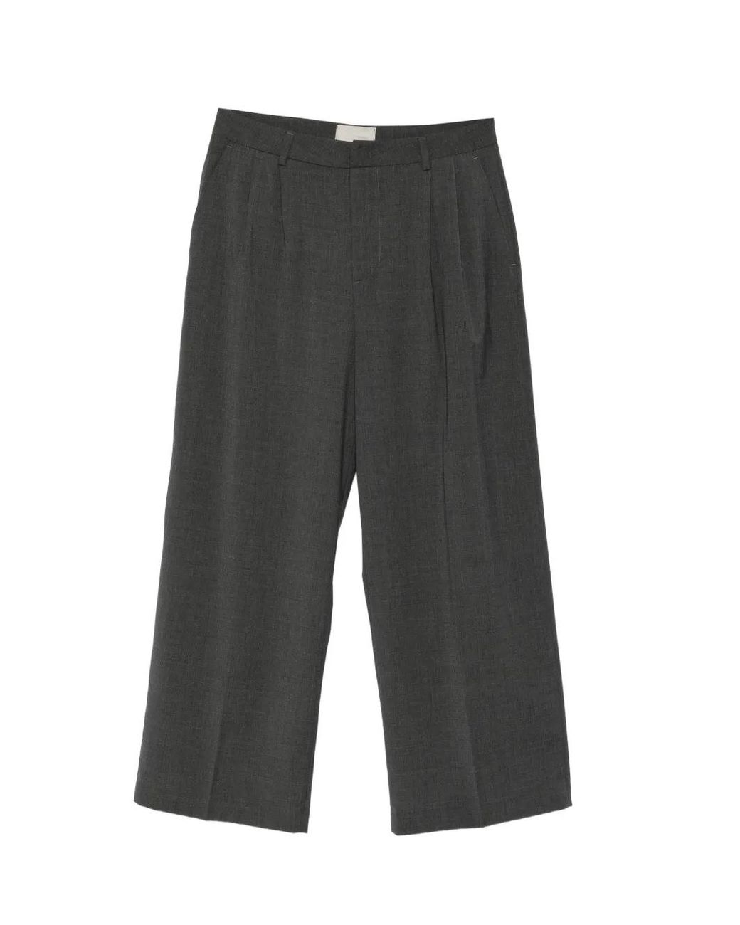 THESTROY Gray Pleated Wide-Leg Trousers for men