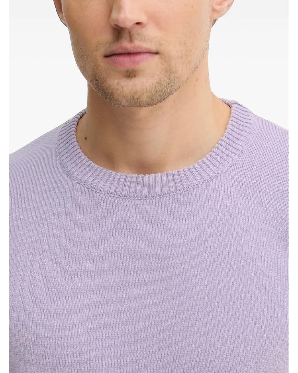 Sisley Purple Ribbed Round Neck Sweater for men