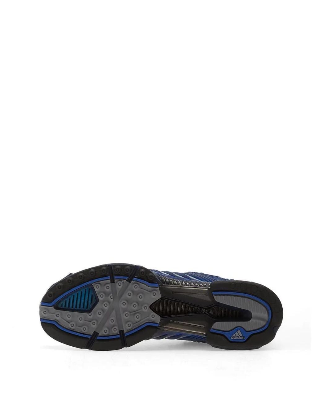 Adidas Blue Climacool 1 Sneakers for men