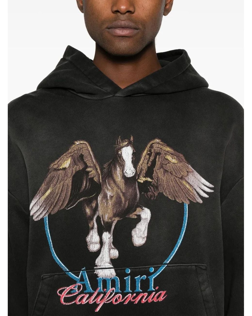 Amiri Multicolor 'Pegasus' Hoodie for men
