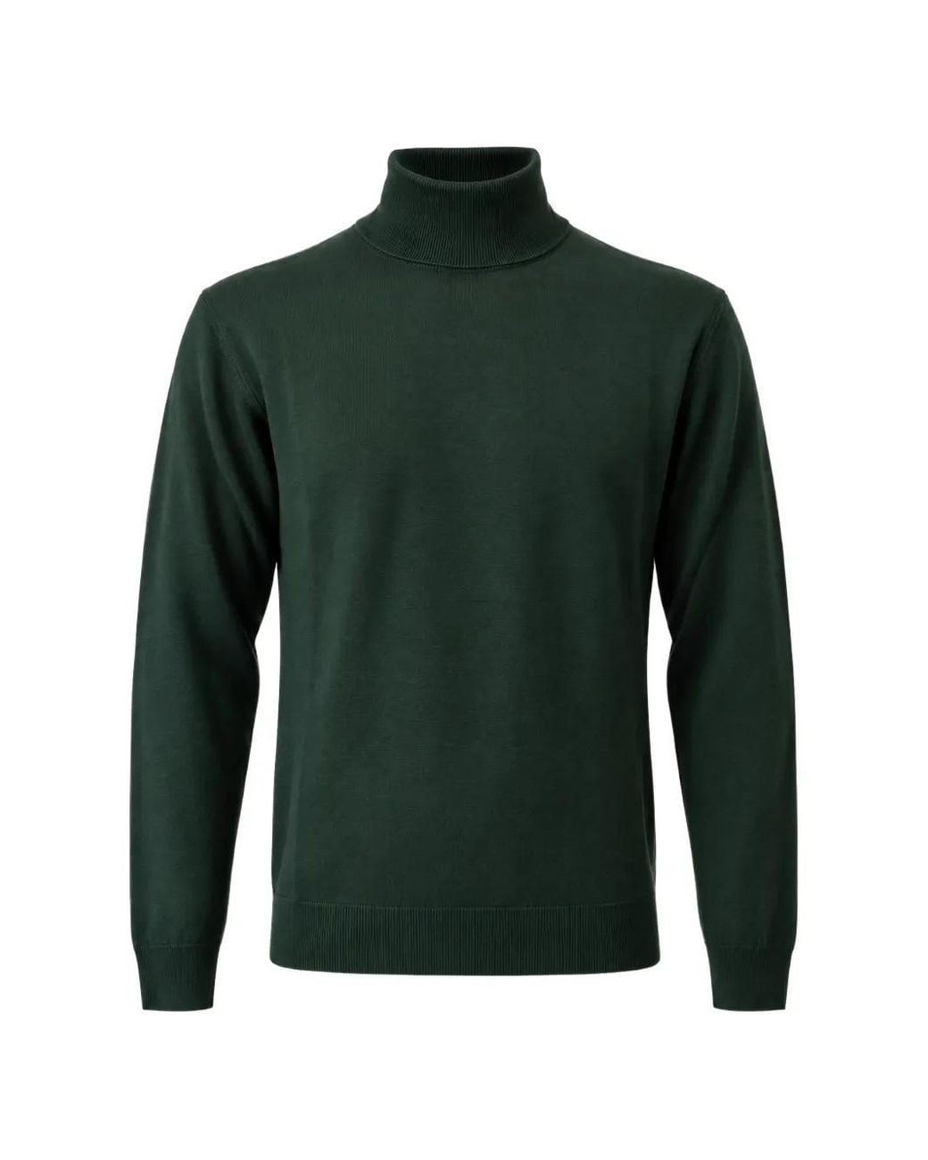 Franzese Collection Green Stefano De Martino Turtleneck Sweater for men