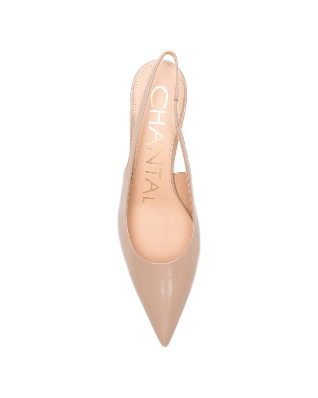 Chantal Pink Pointed-Toe Slingback Pumps