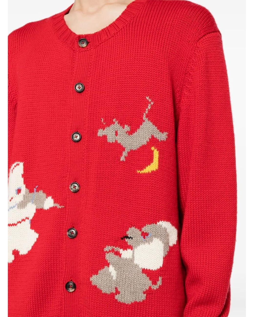 Bode Red Novelty Prose Wool Cardigan for men