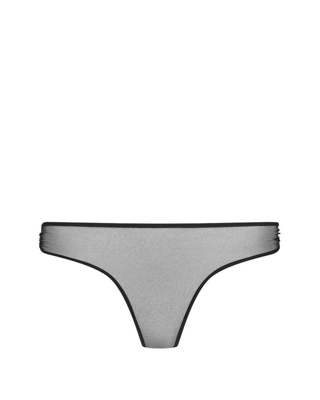 Scandale Gray Culotte Nuit Fauve En Mesh À Effet De Transparence