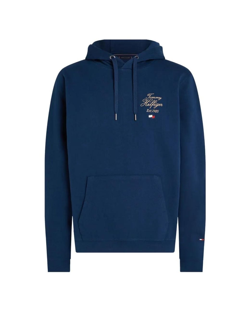 Tommy Hilfiger Blue Logo-Embroidered Drawstring Hoodie for men