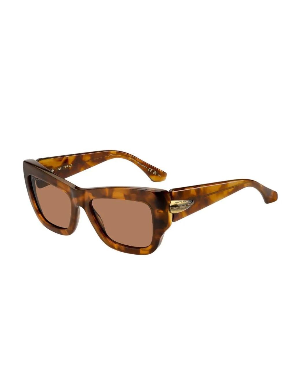 Etro Brown Tortoiseshell Rectangle-Frame Sunglasses