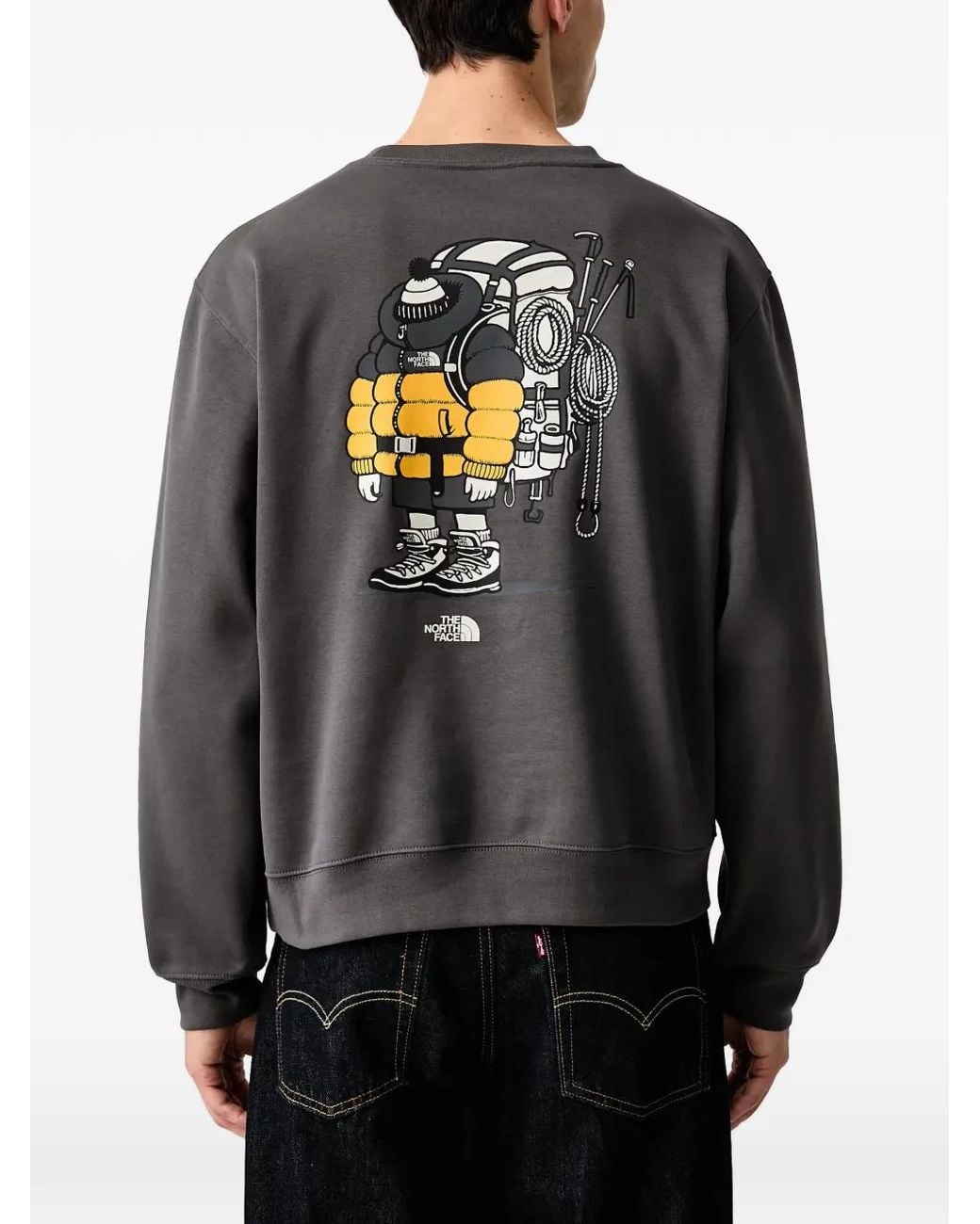 The North Face Gray Gear Up Get Out Relaxed Crew—Graphic Sweater for men