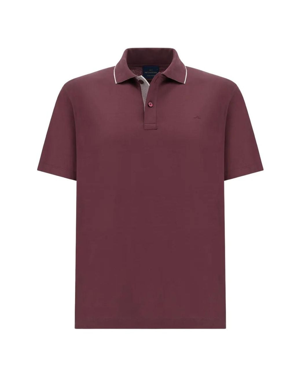 Paul & Shark Purple Short-Sleeve Cotton Polo Shirt for men