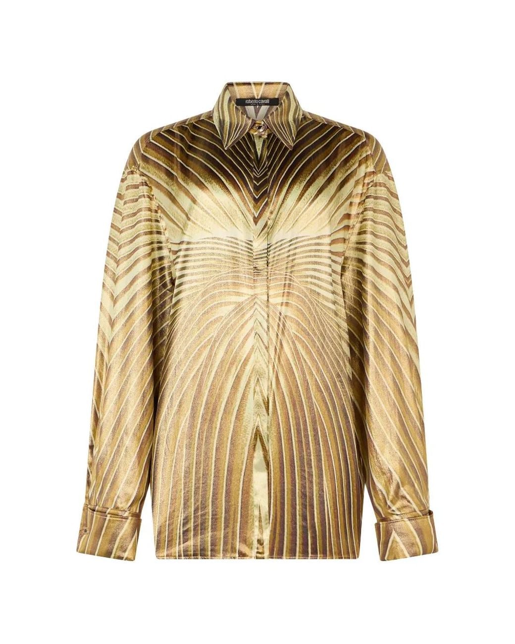 Roberto Cavalli Metallic Ray Of-Print Silk Shirt