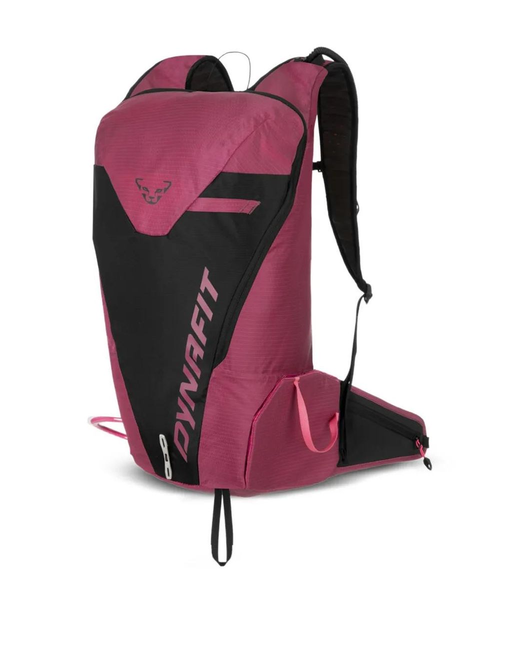 Dynafit Pink Logo-Detail Backpack for men