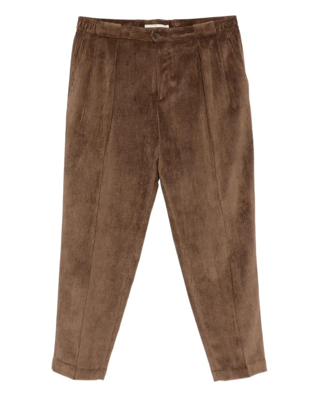 Briglia 1949 Brown Portobello Corduroy Trousers for men